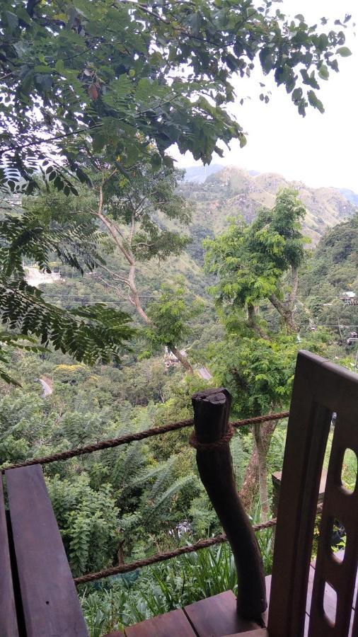 Idyll Homestay Ella Εξωτερικό φωτογραφία