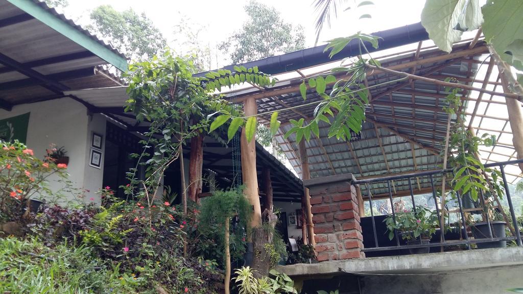 Idyll Homestay Ella Εξωτερικό φωτογραφία