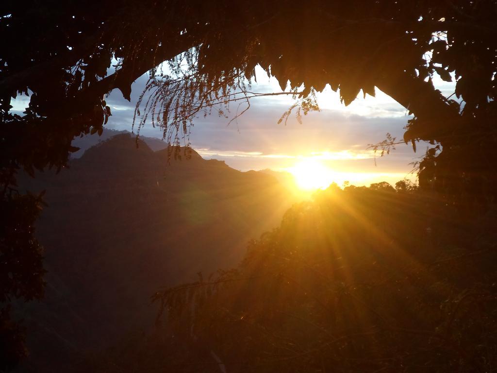 Idyll Homestay Ella Εξωτερικό φωτογραφία
