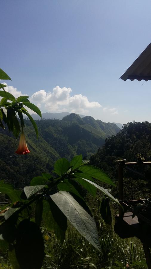 Idyll Homestay Ella Εξωτερικό φωτογραφία